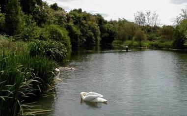 The Mere