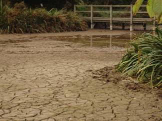 Dried up Mere