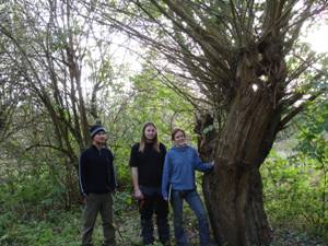 Steve, Andy and Louise