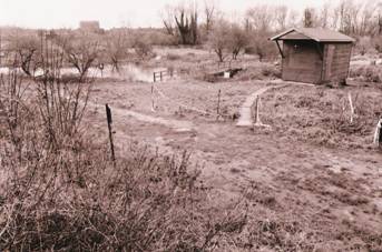 Bird Hide