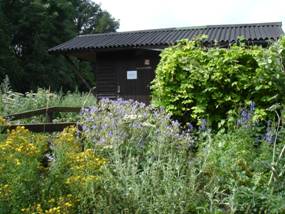 bird hide